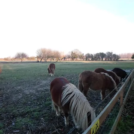 Familial A קרנטן