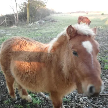 בית נופש Familial A