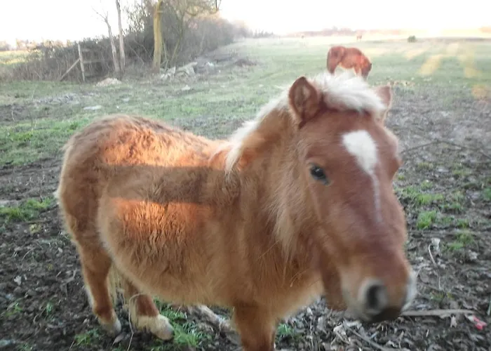 Holiday home Familial A